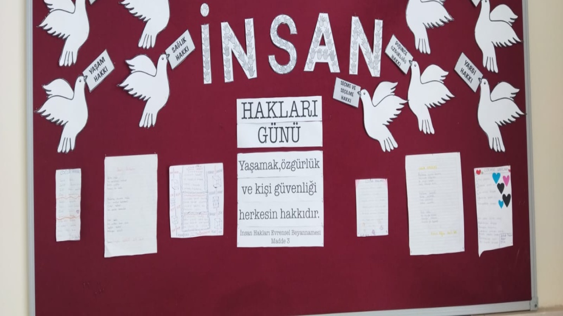 Dünya İnsan Hakları Günü Çalışmaları